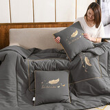天丂 抱枕被子车载被子加厚二合一空调被办公室午睡毯沙发抱枕汽车 羽毛【深灰】 50*50cm展开1.5*1.9m