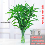 绿有意富贵竹水培植物转运竹花卉绿植室内盆栽绿水养带根鲜花发萝财 富贵竹65-75cm6棵+营养液+生根粉 不含盆
