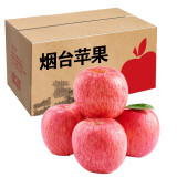 苹之都 烟台苹果水果红富士苹果新鲜脆甜整箱应季生鲜果山东特产平果 红富士带箱10斤 75#
