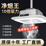 飞稳棋牌室吸烟灯升降吊灯空气净化器茶楼馆房桌麻将机专用抽烟灯 工程升级款_铂金灰（力荐） 自行安装