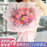 植伴康乃馨百合鲜花生日祝福探望病人母亲节鲜花速递送妈妈全国同城店 D款-19朵康乃馨玫瑰混搭