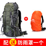 远行客（TOPSKY）户外登山包男女多功能50升60L双肩背包大容量徒步野营旅行包背囊 墨绿色【配送防雨罩】 50升【配防雨罩】