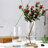 盛世泰堡玻璃花瓶透明富贵竹水培容器大花瓶客厅桌面装饰摆件直筒款1020