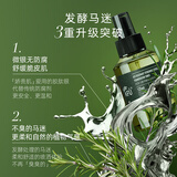 阿芙（AFU）马鞭草酮迷迭香纯露发酵水50ml 爽护肤湿敷水 新年礼物