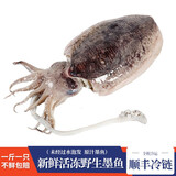 墨妍御鲜 新鲜大墨鱼 海捕 冷冻墨鱼 未经水泡发 海鲜水产 4只 2000g(净重)  500-600g/只