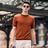布先生明星同款可机洗毛T羊毛短袖毛衣男士针织打底衫 【小高领】暖焦糖 XL (180)