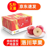 云鲜风陕西洛川红富士苹果新鲜甜脆水果 特大果5斤单果230g-320g