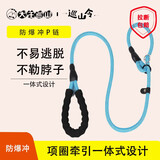 驭兽狗绳P绳链泰迪柯基柴犬边牧幼犬小中大型犬户外防爆冲遛狗牵引绳 【1.5米】蓝色L 40-60斤