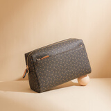 why新年女士小包斜挎通勤小方包百搭相机包斜挎包时尚送老婆实用礼物 YAP11429Z【大款】啡色