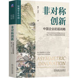 非对称创新：中国企业赶超战略