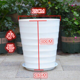 憶芗螺纹型花盆加大黑色盆景果树大型植物落地高筒加厚仿陶瓷塑料花盆 螺纹盆白色小号 1个