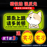 威曼斯实习车贴磁性贴女司机新手上路标志反光贴画个性搞笑装饰汽车贴纸 【磁吸贴强反光】柴犬-菜鸟上路