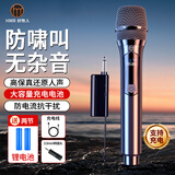 好牧人手持充电无线麦克风家庭KTV专业唱歌演出舞台主持演讲K歌会议音响功放调频接收器万能话筒一拖一
