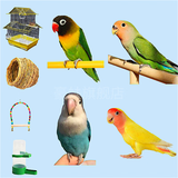 豪蚨虎皮鹦鹉说话小鸟活物观赏鸟宠物牡丹小太阳亲人玄风鹦鹉豪蚨 套餐4：自选牡丹一对+双层别墅