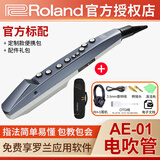 罗兰（Roland）电吹管AE01 AE01C初学者电萨克斯AE05自带扬声器无线蓝牙乐器 AE-01+定制款便携包+配件礼包