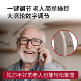 丹麦瑞声达助听器老人重度老年人隐形耳聋耳背式年轻人心意恩雅 【4频段】中功率