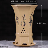 爵遇良品宜兴紫砂兰花盆带托盘君子兰盆中小型桌面家用绿萝蝴蝶兰阳台花盆 D款 黄色（配紫砂托） 图上标注