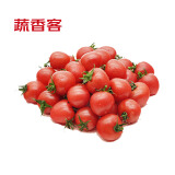 京地达 山东寿光圣女果净重4.5斤小番茄新鲜蔬菜源头直发包邮