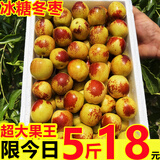 冬枣山东沾化冬枣新鲜大枣脆甜红枣新鲜水果应季礼盒水果孕妇大果 5斤尝鲜性价比高【实惠装】