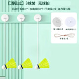 宝尔斯羽毛球回弹训练器回弹羽毛球单双人室内亲子互动羽毛球训练神器 升级标准款10件套【无球拍】