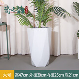大号特大号高筒陶瓷花盆发财树天堂鸟大口径30以上绿植大花盆 六方白色高腰（大号）