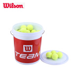 Wilson威尔胜无压力训练网球 WRT131200