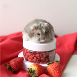 布卡星仓鼠冻干草莓15g碎小零食水果营养粮食金丝熊龙猫豚鼠兔子用品