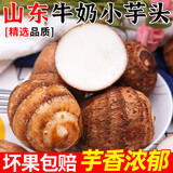 萄鲜客山东农特产 牛奶小芋头 毛芋头芋艿 农家芋头 软糯香甜 产地直发 芋头精选3斤【中果40-60g】