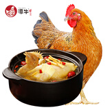潭牛煲汤老母鸡2斤 整鸡散养土鸡 文昌鸡椰子鸡食材 生鲜鸡肉 冷冻