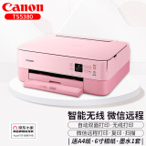 佳能（Canon）TS5380打印机连供墨仓自动双面打印复印扫描多功能一体机手机无线照片学生家用办公彩色喷墨作业 TS5380t粉红【微信远程+手机无线+自动双面】 套餐三：主机+连供墨仓+黑彩墨水8