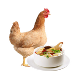 芮瑞 新鲜三黄鸡土鸡嫩鸡肉走地鸡柴鸡笨鸡净重约700g 整只装 1只装