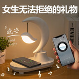 开亿七夕情人节生日礼物女生送男女朋友实用走心高级成人乔迁之喜文创用品其他文教文化用品 【小鸟款】