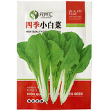 元井汇（YUANJINGHUI）蔬菜种子四季播盆栽阳台庭院香菜生菜菠菜小葱简单秋易种籽孑大全 四季小白菜（约1800粒）