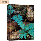 蕨类植物的秘密生活 揭秘孢子繁殖与进化奇迹的科普之旅自然文库