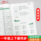 赵汝飞练字 部编版一年级上下册同步硬笔梯形格练字帖正楷书小学