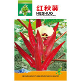 花语笙默四季播种蔬菜种子家庭种菜盆栽田园地栽菜种易种植易生长瓜果菜籽 红秋葵种子（约100粒） 原厂封装1袋