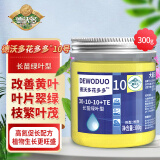 德沃多肥料花多多10号长苗绿叶型300g促生长促开花水溶肥叶面肥园艺养花肥料