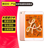 Apple 苹果平板电脑 iPad mini5 二手平板电脑 大陆国行 金色 64G WiFi+4G