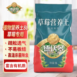 德沃多肥料草莓专用营养土8L园艺绿植瓜果蔬菜有机土壤阳台盆栽农家种植土壤