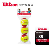 Wilson威尔胜训练网球 低压缩网球 耐磨儿童网球Starter WRT137001 