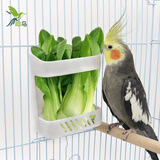哈鸟鸟用蔬果框 鹦鹉自动喂食器 水果框蓝子寻觅玩具食盒食杯鹦鹉食杯