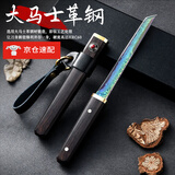 小天籁（XIAO TIAN LAI） 大马士革钢水果刀家用瓜果刀便携小刀户外烧烤小厨刀精美礼盒装 典藏款-彩钛大马士革钢刀