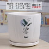 裕轩堂陶瓷花盆绿萝欧式简约高款家用桌面室内客厅阳台带托盘兰花虎皮兰 7249472 特大