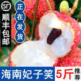 青舞顺丰/京东快递 新鲜海南妃子笑荔枝 孕妇水果5斤3斤增城味桂茂名 精选装5斤
