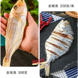 闸坡船鲜晒金线鱼海鱼阳江一夜埕咸鱼干海鱼干红三鱼红杉鱼红哥里刀鲤鱼 金线鱼500克+金鲳鱼2条