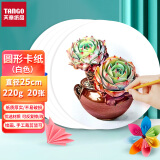 天章 （TANGO）白色圆卡纸220g 直径25cm 硬卡纸儿童幼儿园学生手工折纸圆纸美术画纸剪纸DIY绘画画纸 20张/包