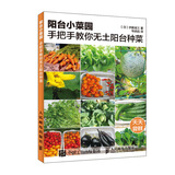 阳台小菜园 手把手教你无土阳台种菜（绘客出品）