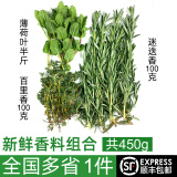 绿食者 新鲜香料组合共450g 迷迭香百里香薄荷叶 西餐煎牛排烤肉香料