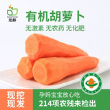 旭耕有机胡萝卜家庭装有机认证萝卜屯货婴孕健康轻食新鲜有机蔬菜 5斤