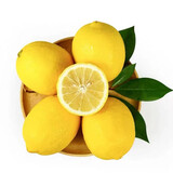 立始四川安岳黄柠檬新鲜柠檬酸爽多汁奶茶店专用新鲜水果特产 5斤大份装（50g起,家庭首选）